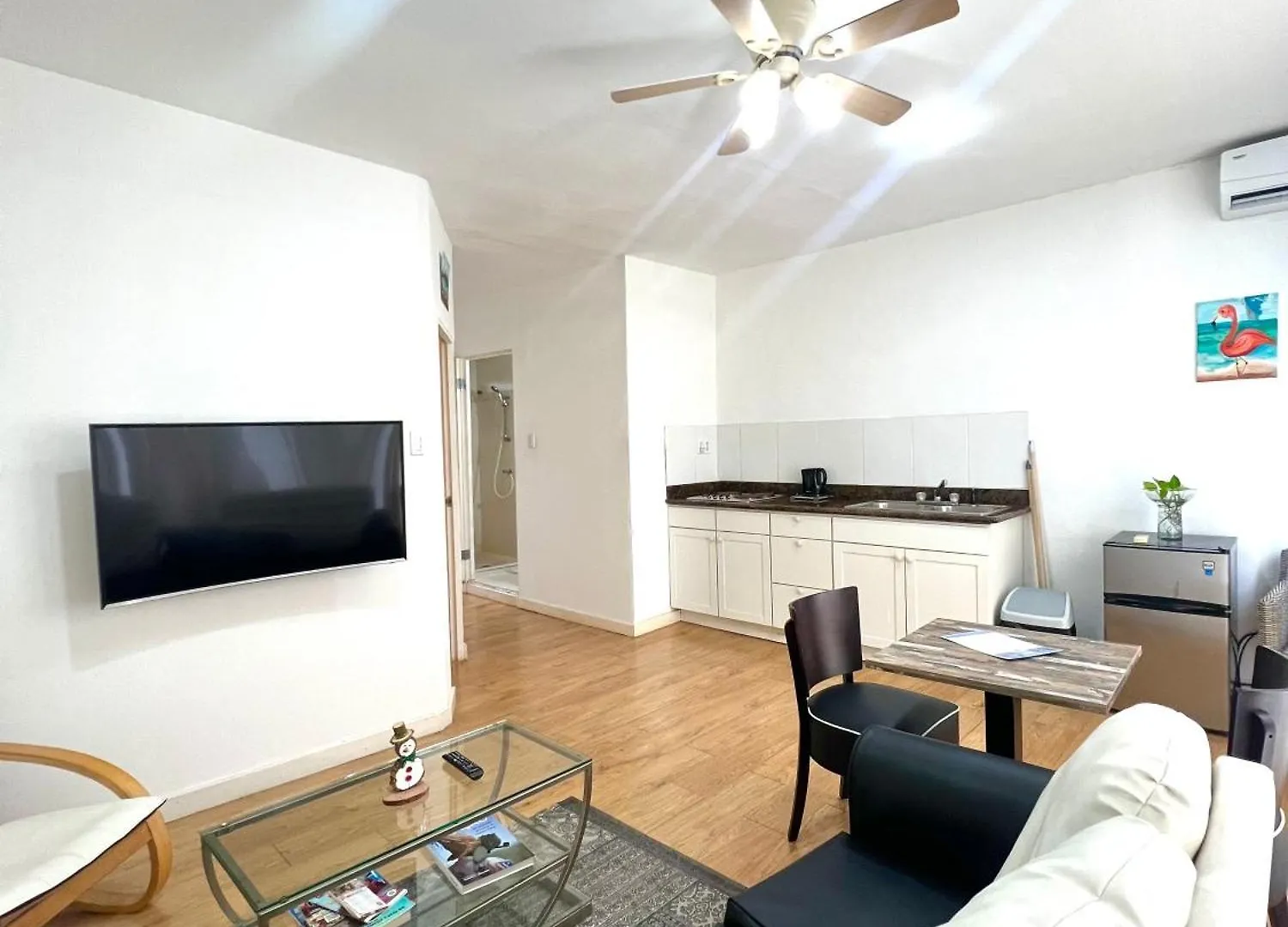 Dushi Apartments Willemstad